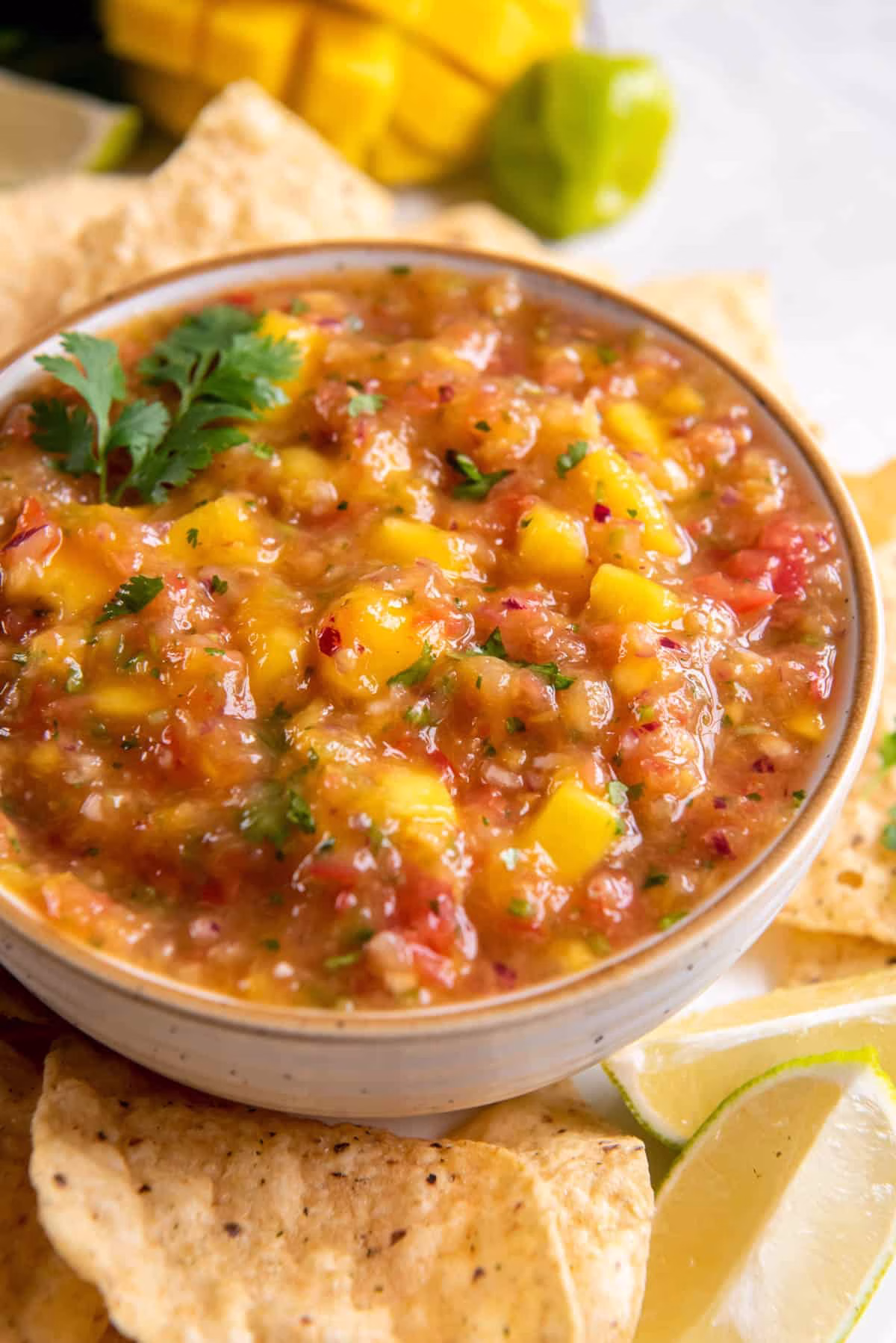 Mango Salsa - Image 2
